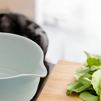 Chawan traditionnel bol céramique noble