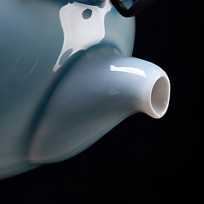 Service à thé japonais cérémonie