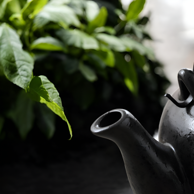 Service à thé japonais fleurs cerisier