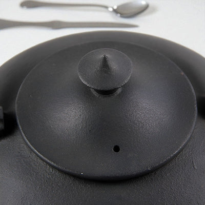 Théière bouilloire en fonte japonaise