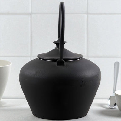 Théière bouilloire en fonte japonaise