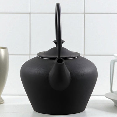 Théière bouilloire en fonte japonaise