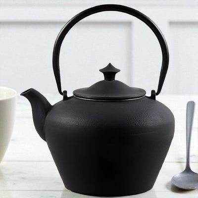 Théière bouilloire en fonte japonaise
