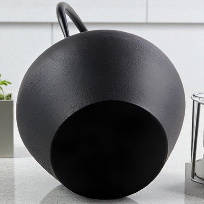 Théière bouilloire en fonte japonaise