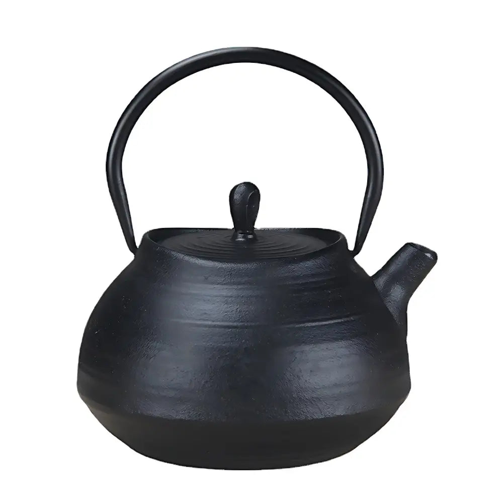 Théière En Fonte 0,4 L INTERKITCHEN - Style Japonais Tetsubin Avec Infuseur Inox
