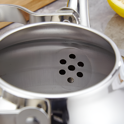 Théière inox pour thé à la menthe