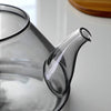 Théière japonaise en verre